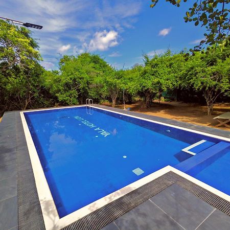 Yala Hotel Lion -Air Conditioned High Luxury Safari Camp Εξωτερικό φωτογραφία