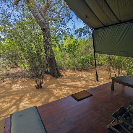 Yala Hotel Lion -Air Conditioned High Luxury Safari Camp Εξωτερικό φωτογραφία