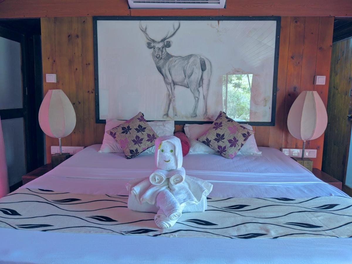 Yala Hotel Lion -Air Conditioned High Luxury Safari Camp Εξωτερικό φωτογραφία