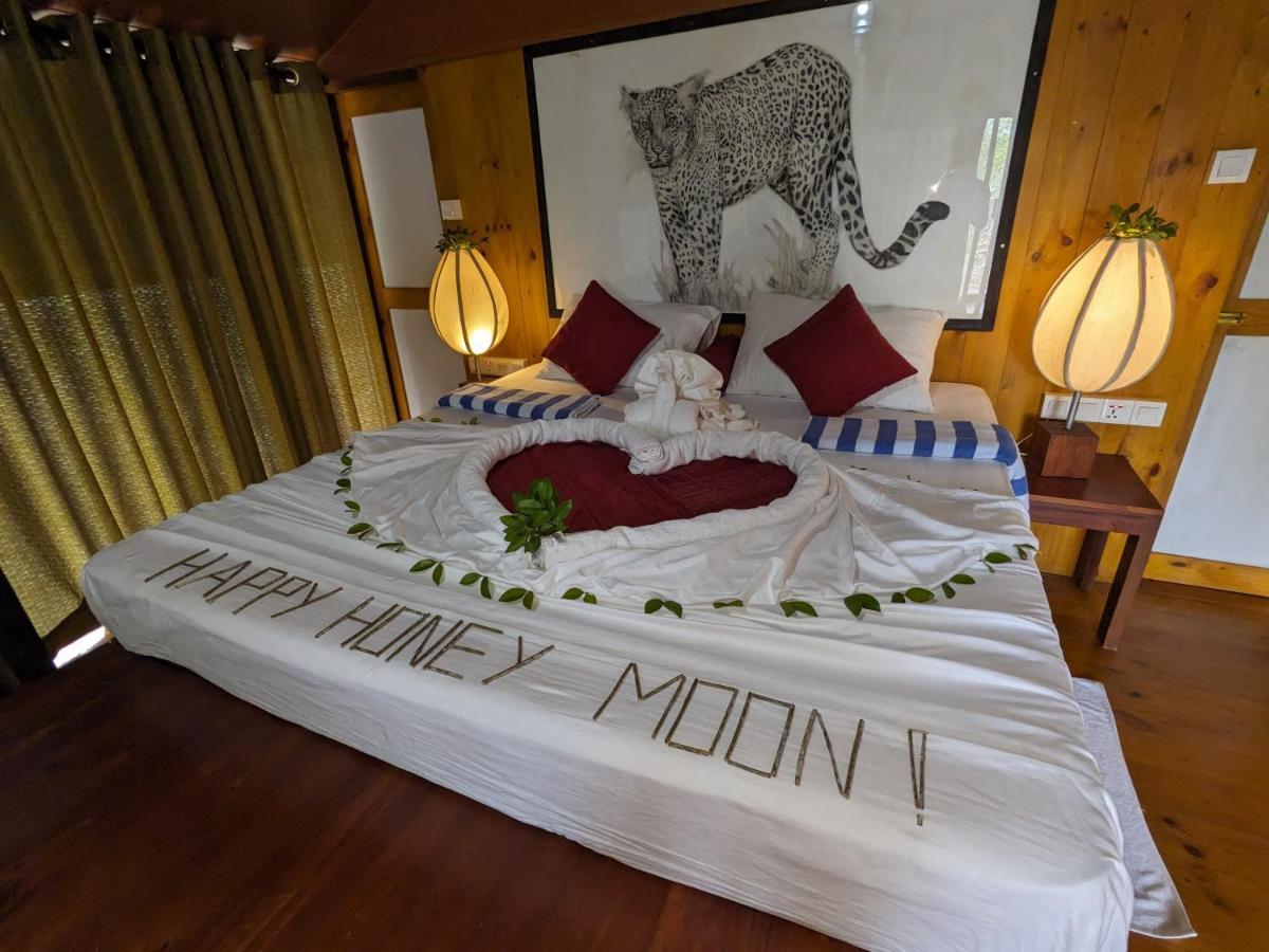 Yala Hotel Lion -Air Conditioned High Luxury Safari Camp Εξωτερικό φωτογραφία