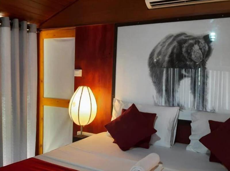 Yala Hotel Lion -Air Conditioned High Luxury Safari Camp Εξωτερικό φωτογραφία