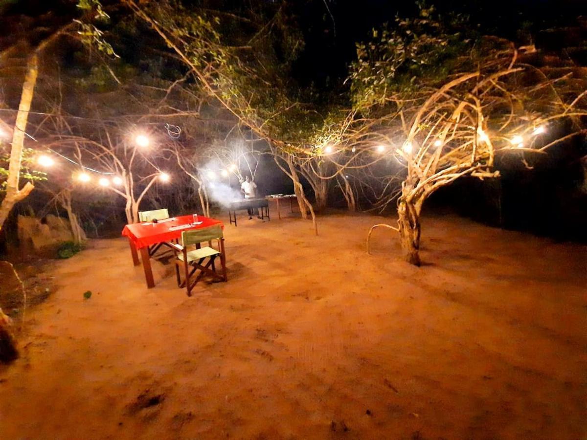 Yala Hotel Lion -Air Conditioned High Luxury Safari Camp Εξωτερικό φωτογραφία