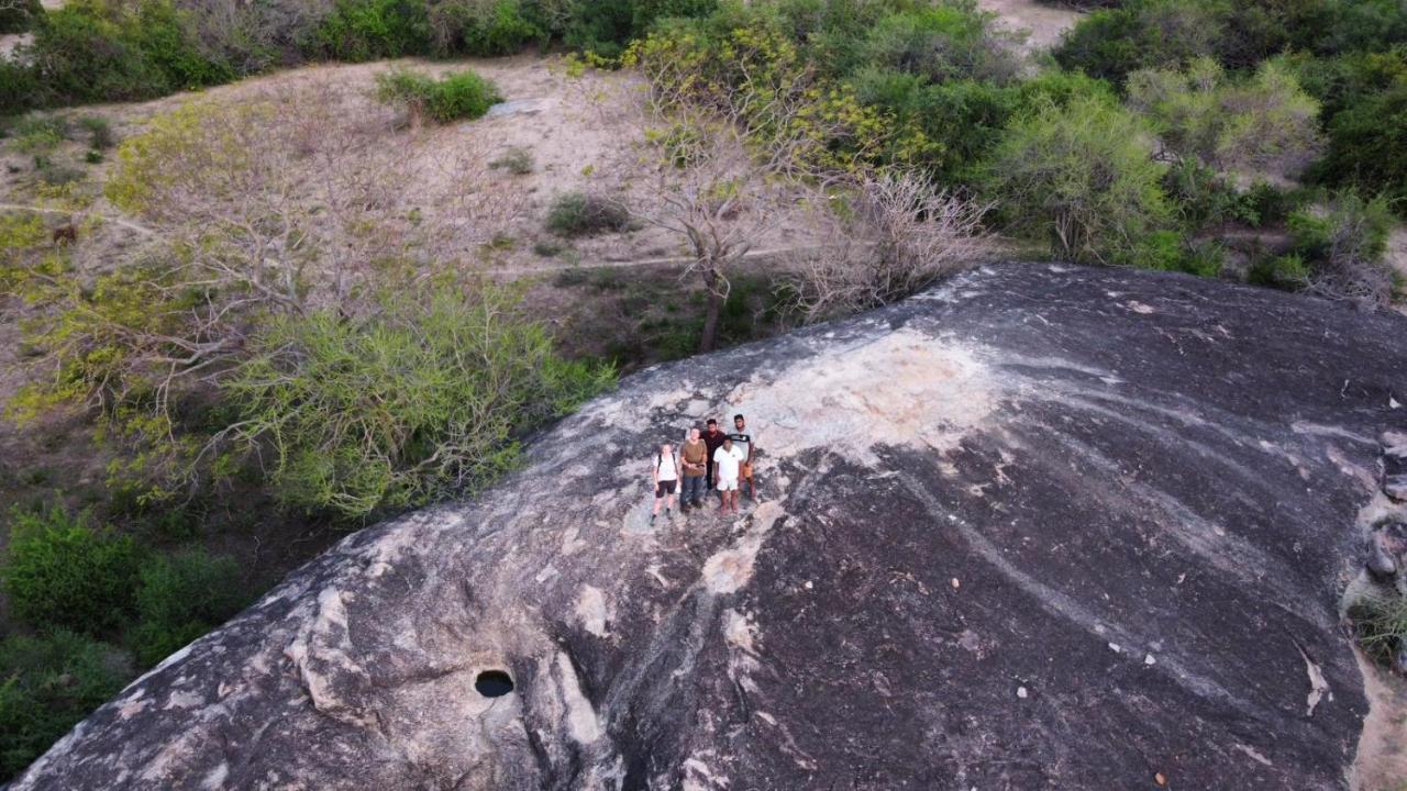 Yala Hotel Lion -Air Conditioned High Luxury Safari Camp Εξωτερικό φωτογραφία
