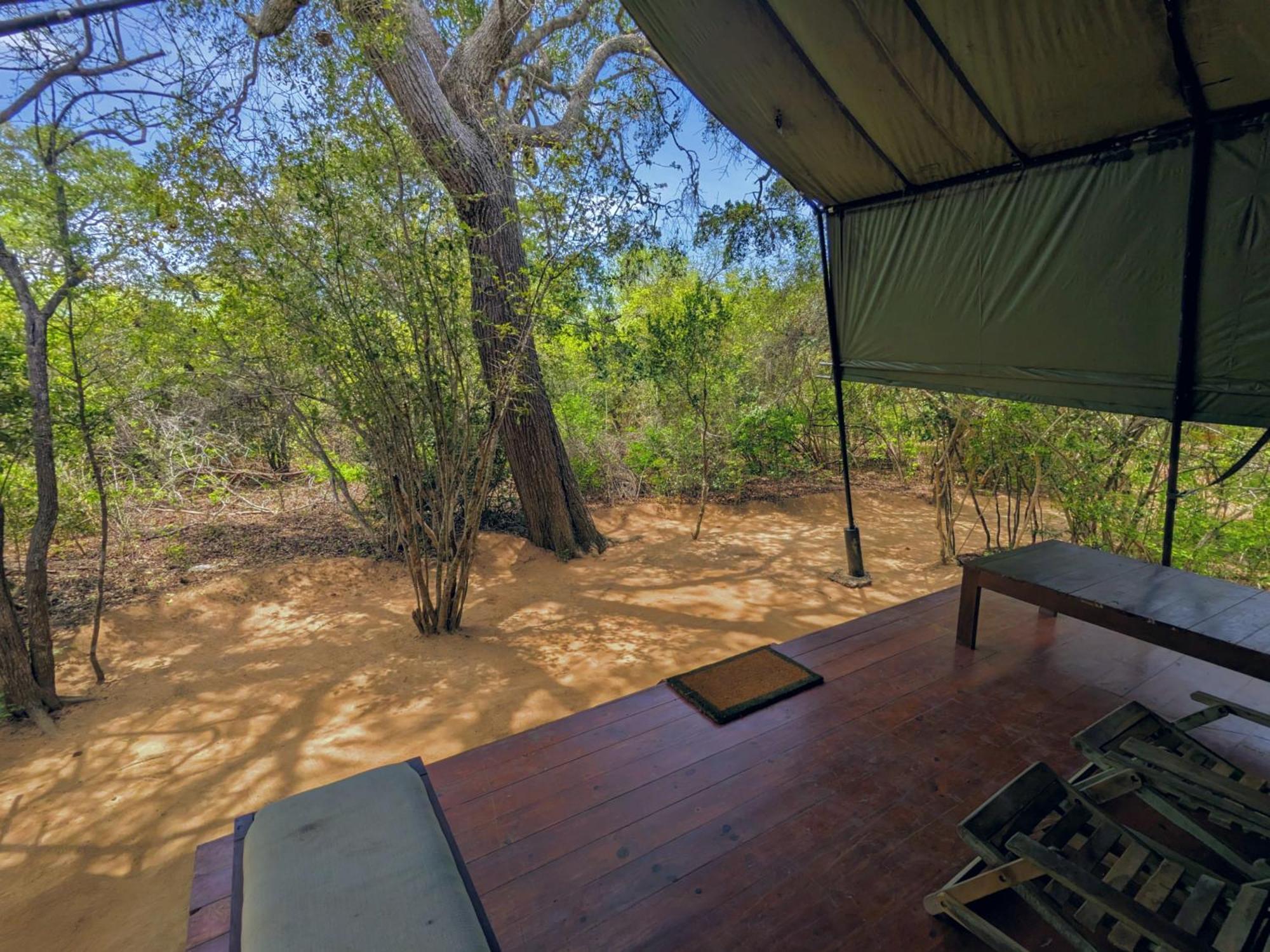 Yala Hotel Lion -Air Conditioned High Luxury Safari Camp Εξωτερικό φωτογραφία