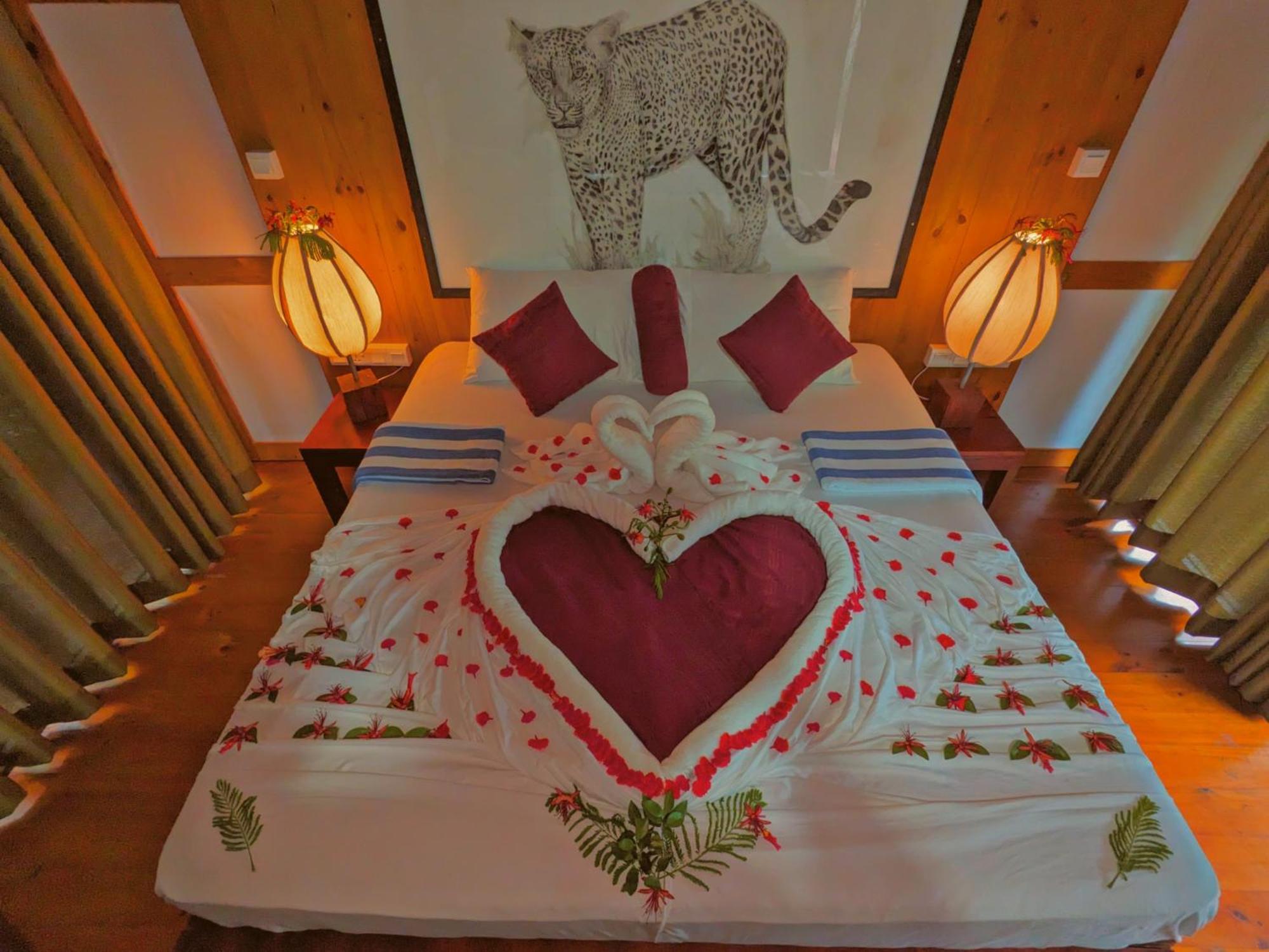 Yala Hotel Lion -Air Conditioned High Luxury Safari Camp Εξωτερικό φωτογραφία