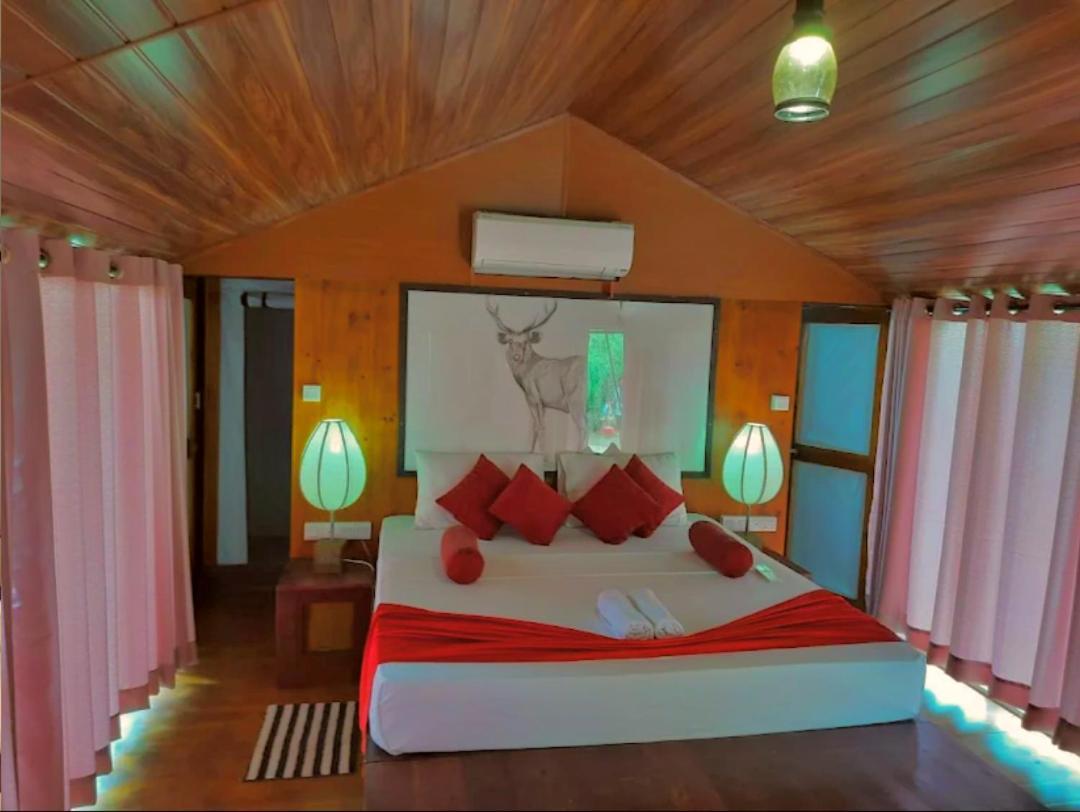Yala Hotel Lion -Air Conditioned High Luxury Safari Camp Εξωτερικό φωτογραφία